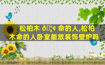 松柏木 🦢 命的人,松柏木命的人卧室能放装饰壁炉吗
